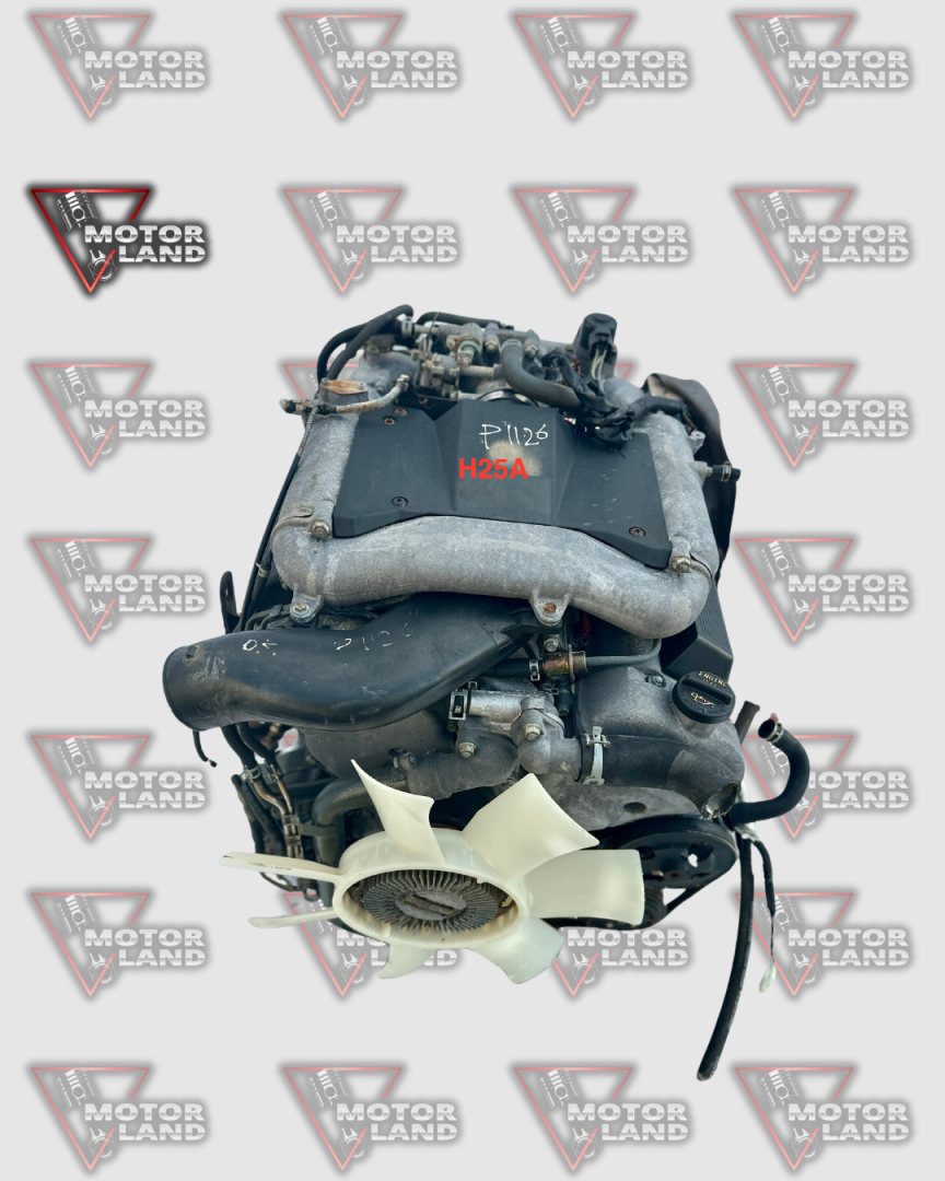 Купить SUZUKI-H25A - Suzuki, grand, vitara, xl-7, h25a
